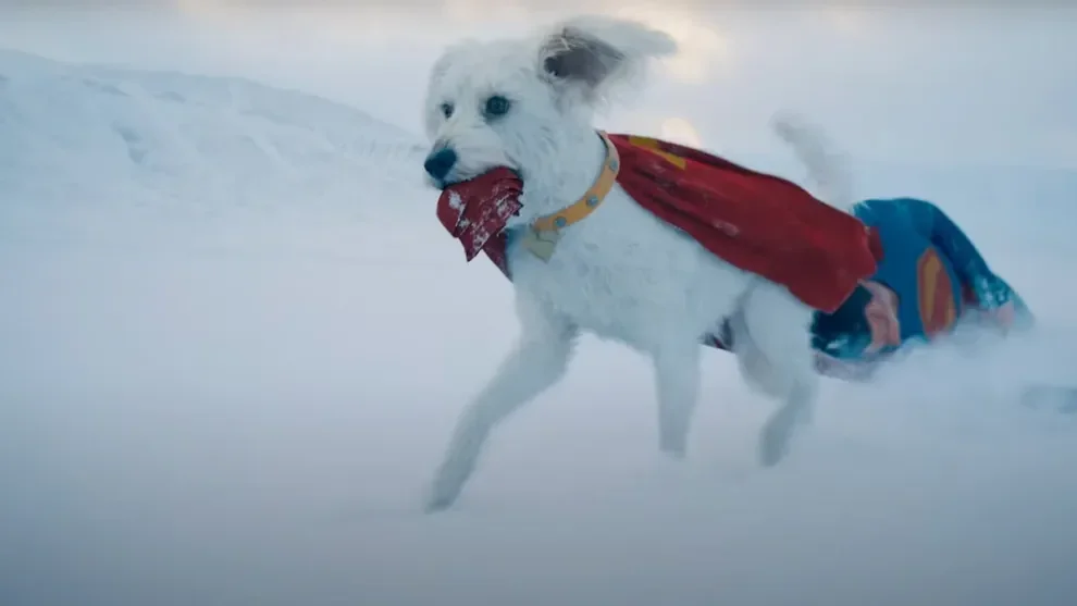 "น้องหมาคริปโต (Krypto)" จาก "Superman" เวอร์ชั่นใหม่ล่าสุด มีต้นแบบมาจากหมาจรจัดของผู้กำกับ "เจมส์ กันน์ (James Gunn)"