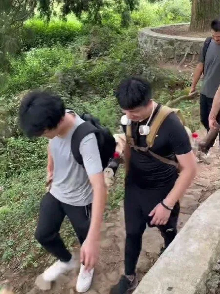 น้องไม่ไหวบอกไหว! นักปีนเขาชาวจีนแบกลาบราดอร์หุ่นตุ้ยนุ้ยลงเขาด้วยแคร่ไม้ หลังน้องเหนื่อยจนเดินไม่ไหว