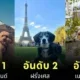 เผย 10 อันดับประเทศที่เป็นมิตรกับสัตว์เลี้ยง (Pet-Friendly) ประจำปี 2025 ที่คนรักสัตว์น่าพาน้องไปเยือน!