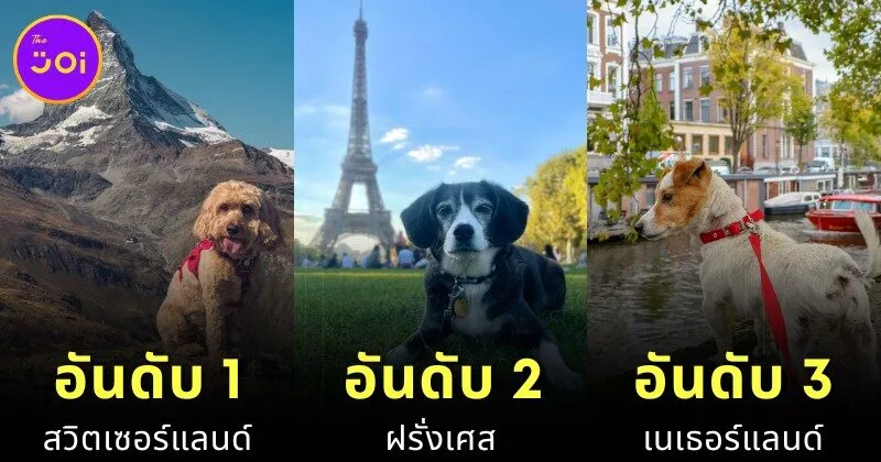 เผย 10 อันดับประเทศที่เป็นมิตรกับสัตว์เลี้ยง (Pet-Friendly) ประจำปี 2025 ที่คนรักสัตว์น่าพาน้องไปเยือน!