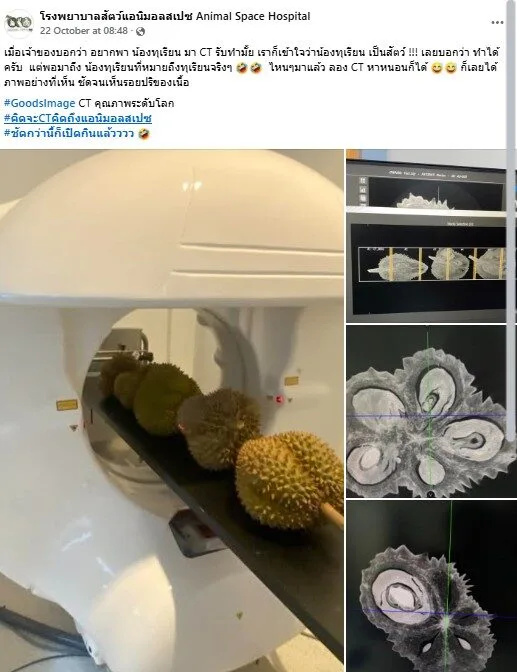 เรื่องจริงไม่จ้อจี้! โรงพยาบาลสัตว์เผยมีคนขอทำ CT Scan "ทุเรียน" นึกว่าเป็นชื่อหมา สรุปมาเป็นผลจริง ๆ