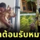 ไวรัลอบอุ่นหัวใจ! เด็กชายชาวอเมริกันแต่งชุดสุดหรูต้อนรับหมาใหม่ เพราะ "มันคือสมาชิกครอบครัว"