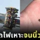 ชายจีนเล่นรถไฟเหาะ 3 รอบ… จนนิ่วในไตหลุด?! หมอย้ำ "อย่าเลียนแบบ" แม้ผลลัพธ์จะน่าทึ่งก็ตาม