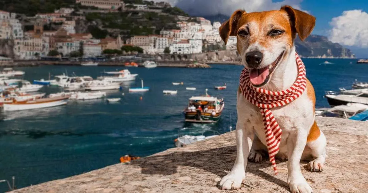 เผย 10 อันดับประเทศที่เป็นมิตรกับสัตว์เลี้ยง (Pet-Friendly) ประจำปี 2025 ที่คนรักสัตว์น่าพาน้องไปเยือน!