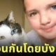 เด็กชายชาวอเมริกันถูกบูลลี่เพราะ "ตาสองสี" แต่โชคชะตาพาให้เขาได้เจอเพื่อนเหมียวที่เหมือนกันทุกประการ