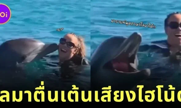 เมื่อ "มารายห์ แครี่" หวีดเสียงไฮโน้ตโชว์โลมา ทำน้องดีใจสุดขีดเหมือนเจอเพื่อนพูดภาษาเดียวกัน