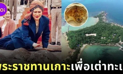 Queen Sirikit Gives her Island Mannai island for Sea Turtles