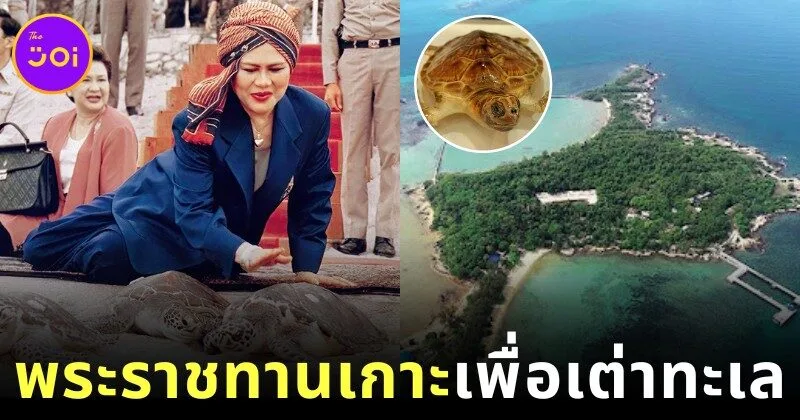Queen Sirikit Gives her Island Mannai island for Sea Turtles