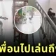 เพื่อนซี้ไม่ทิ้งกัน! สุนัขจรจัดแสนรู้วิ่งมาตามเพื่อนสี่ขาถึงบ้านทุกวัน เพื่อไปเล่นด้วยกันนอกบ้าน