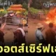Vietnam monks Fire Magic