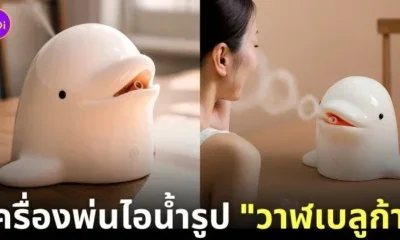 เครื่องพ่นไอน้ำรูปวาฬเบลูก้า