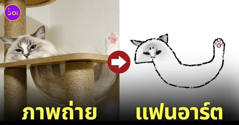 แฟนอาร์ต แมวนอนตัวยาวแปลกๆ