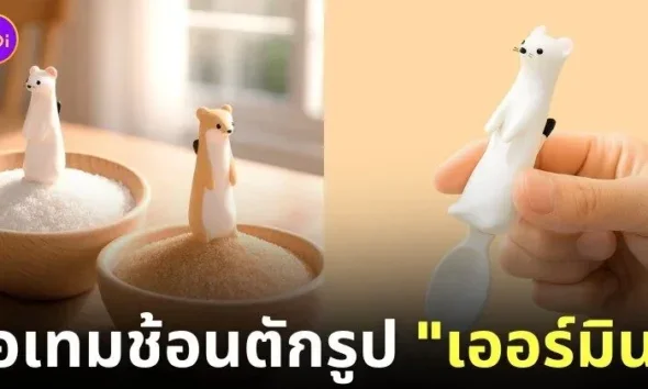 ช้อนตักเครื่องปรุงรูปเออร์มิน ermine