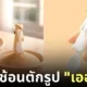 ช้อนตักเครื่องปรุงรูปเออร์มิน ermine