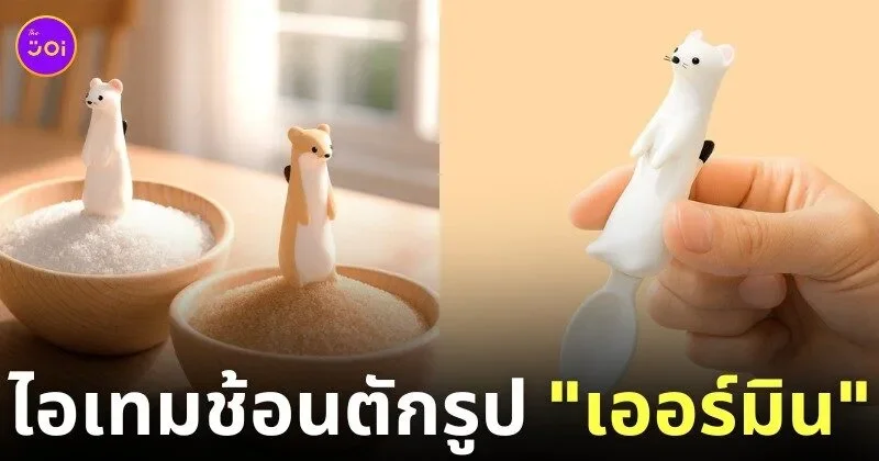 ช้อนตักเครื่องปรุงรูปเออร์มิน ermine