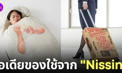 ไอเดียของใช้ cup noodles nissin ญี่ปุ่น