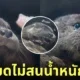 นากเด็กกินเนื้อปลาทำหน้าฟิน
