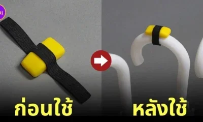 ที่ทำมาร์คร่มรูปซูชิหน้าไข่หวาน
