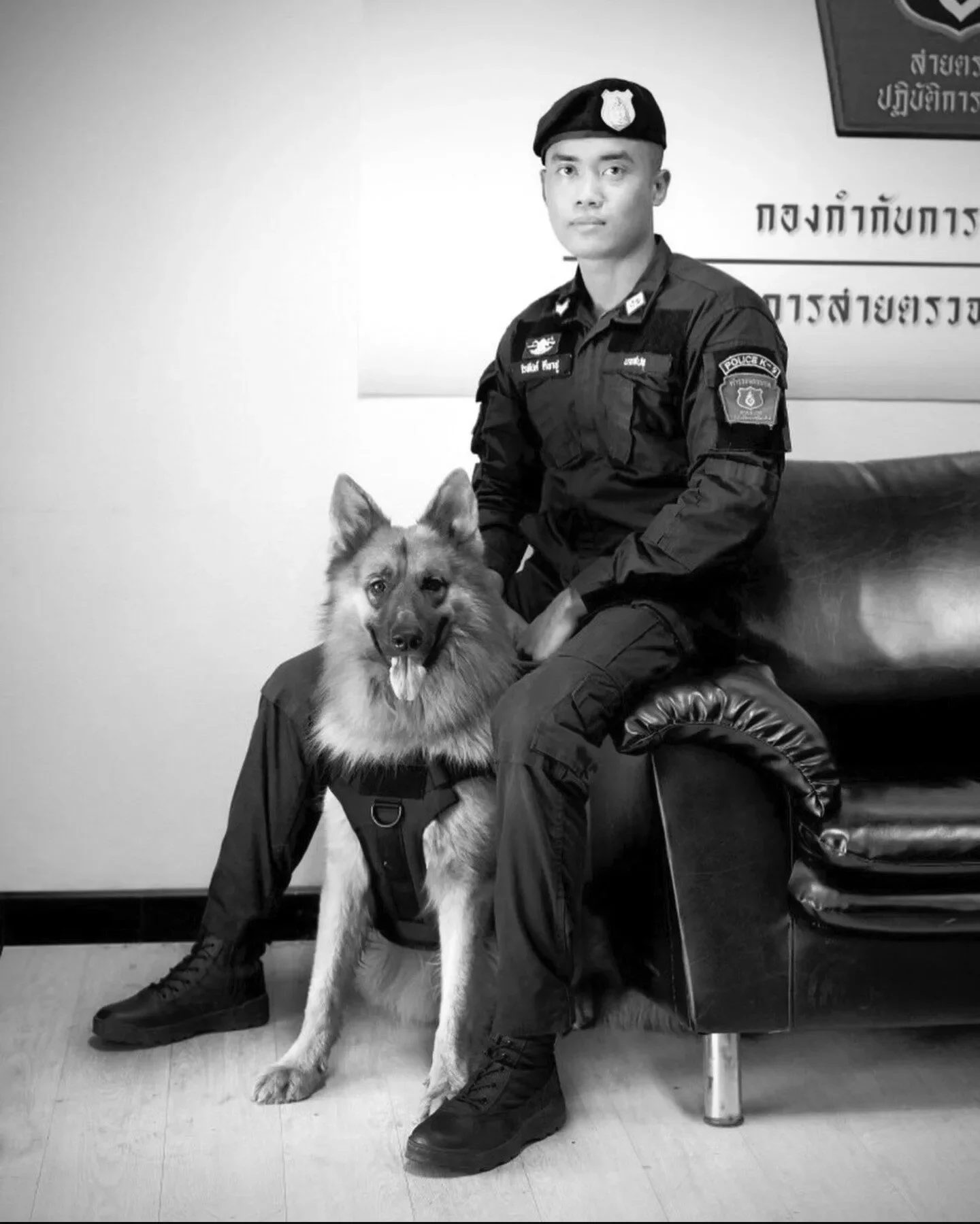 เผยสาเหตุการเสียชีวิตของ "สุนัขตำรวจตรีซาโบ้" สุนัข K9 ขวัญใจประชาชน