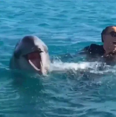 เมื่อ "มารายห์ แครี่" หวีดเสียงไฮโน้ตโชว์โลมา ทำน้องดีใจสุดขีดเหมือนเจอเพื่อนพูดภาษาเดียวกัน