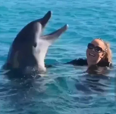 เมื่อ "มารายห์ แครี่" หวีดเสียงไฮโน้ตโชว์โลมา ทำน้องดีใจสุดขีดเหมือนเจอเพื่อนพูดภาษาเดียวกัน