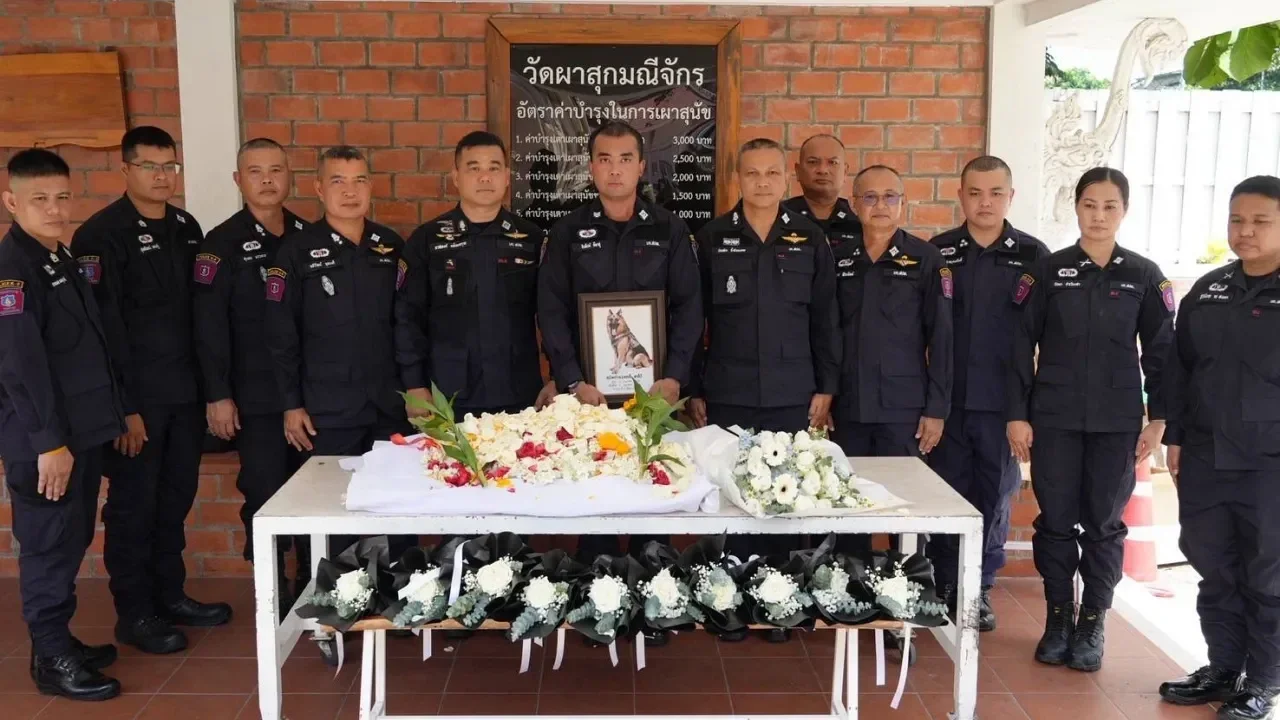 เผยสาเหตุการเสียชีวิตของ "สุนัขตำรวจตรีซาโบ้" สุนัข K9 ขวัญใจประชาชน