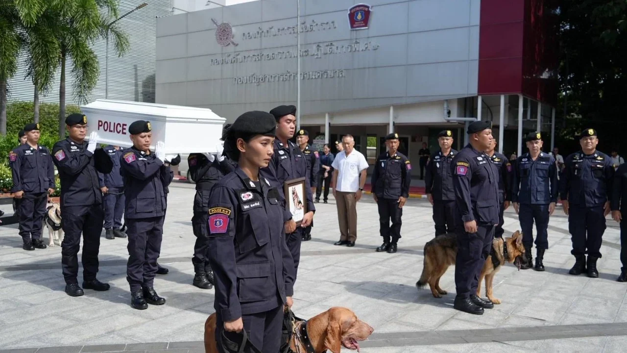 เผยสาเหตุการเสียชีวิตของ "สุนัขตำรวจตรีซาโบ้" สุนัข K9 ขวัญใจประชาชน