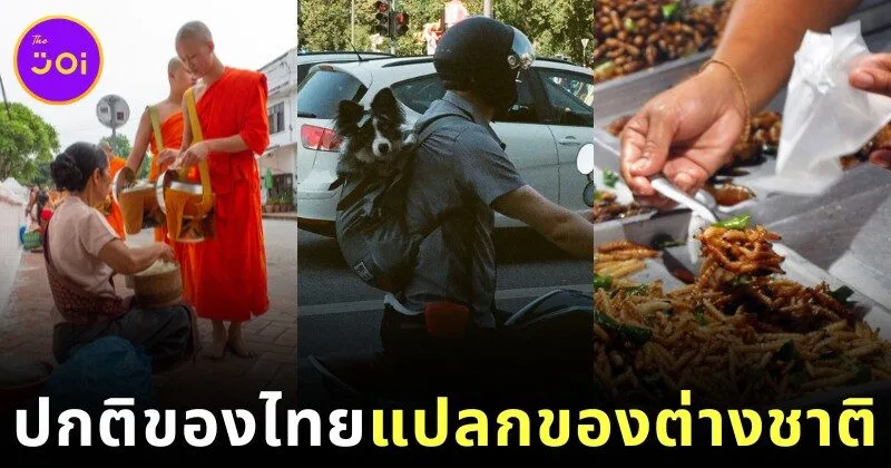 เผย 12 สิ่งธรรมดาของคนไทย...ที่ชาวต่างชาติมองว่า "แปลก" โดย "worldpitou"