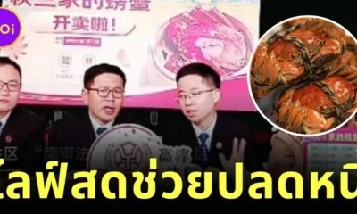 Chinese Judges Live Streaming Selling Crab to lift all Debtor burdens