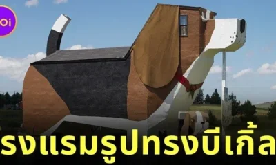 "Dog Bark Park Inn" โรงแรมรูปทรงสุนัขบีเกิ้ลขนาดยักษ์แห่งแรกของโลก ที่พักสุดแหวกแนวในไอดาโฮ ประเทศสหรัฐอเมริกา