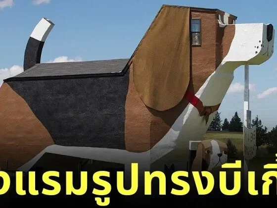 "Dog Bark Park Inn" โรงแรมรูปทรงสุนัขบีเกิ้ลขนาดยักษ์แห่งแรกของโลก ที่พักสุดแหวกแนวในไอดาโฮ ประเทศสหรัฐอเมริกา