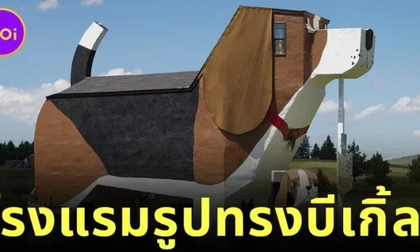 "Dog Bark Park Inn" โรงแรมรูปทรงสุนัขบีเกิ้ลขนาดยักษ์แห่งแรกของโลก ที่พักสุดแหวกแนวในไอดาโฮ ประเทศสหรัฐอเมริกา