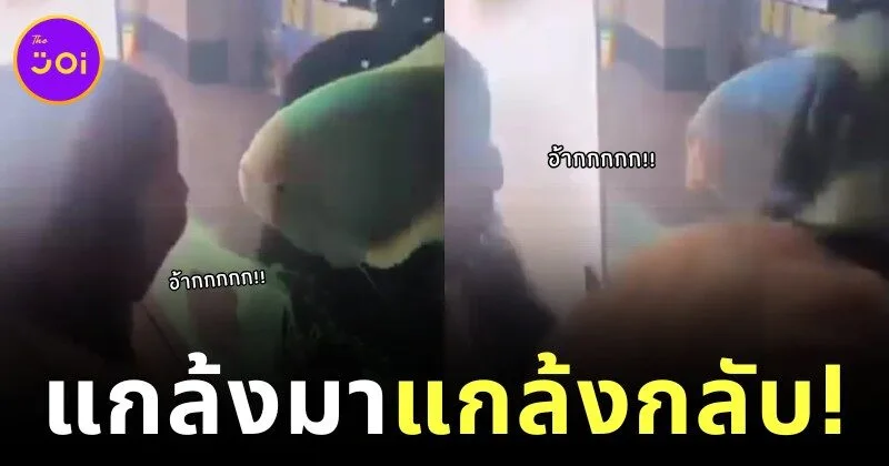 เจ้าปลาในตู้สุดจะทนเด็กขี้แกล้ง เลยทำหน้าล้อเลียนใส่ ทำเอาเด็กน้อยถึงกับผวา!