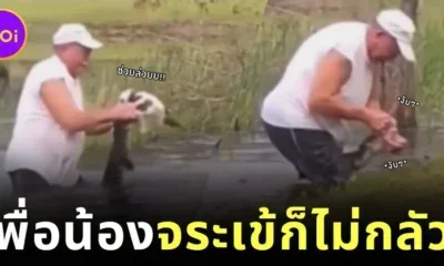 คุณปู่วัย 74 ปี สู้กับจระเข้ เพื่อช่วยชีวิตน้องหมาตัวน้อย ก่อนเอาออกจากปากนักล่าได้อย่างปลอดภัย