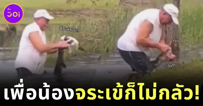 คุณปู่วัย 74 ปี สู้กับจระเข้ เพื่อช่วยชีวิตน้องหมาตัวน้อย ก่อนเอาออกจากปากนักล่าได้อย่างปลอดภัย