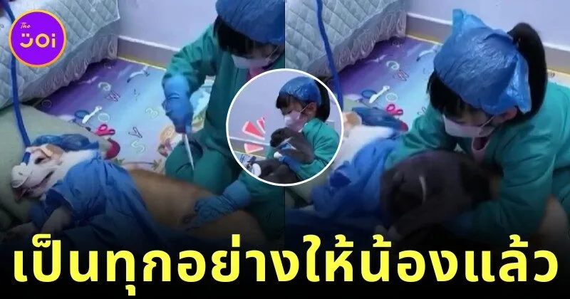 เด็กน้อยเล่นเป็นหมอมีคนไข้เป็นเจ้าตูบ การแสดงของเพื่อนสี่ขาสมจริงเกินต้าน จนคลิปกลายเป็นไวรัล!