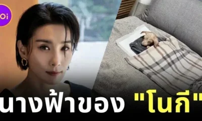 "คิมซอฮยอง (Kim Seo-hyung)" ดาราเกาหลีชื่อดัง รับสุนัขชรามาอยู่ด้วย หวังให้เป็นบ้านหลังสุดท้าย