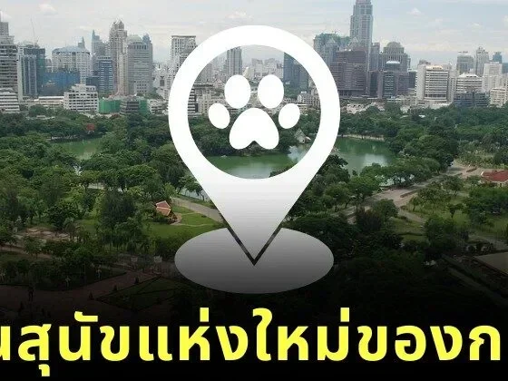 สวนลุมฯ เตรียมเปิดโซนใหม่ "Lumpini Dog Park" ในวันที่ 31 ธันวาคมนี้ สวนสาธารณะสำหรับสุนัขแห่งที่ 9 ของกรุงเทพฯ