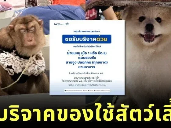 "คณะสัตวแพทย์ มอ." เปิดรับบริจาคสิ่งของสัตว์เลี้ยง ช่วยเพื่อนสี่ขาที่ได้รับผลกระทบจากเหตุการณ์น้ำท่วมภาคใต้