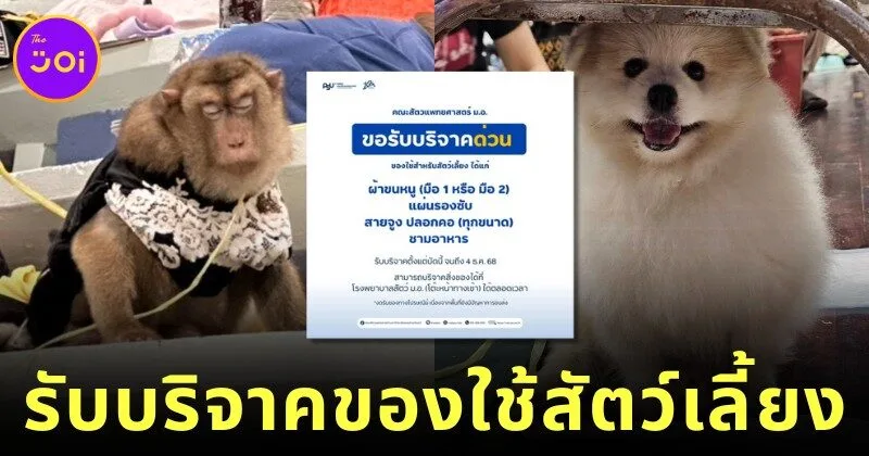 "คณะสัตวแพทย์ มอ." เปิดรับบริจาคสิ่งของสัตว์เลี้ยง ช่วยเพื่อนสี่ขาที่ได้รับผลกระทบจากเหตุการณ์น้ำท่วมภาคใต้