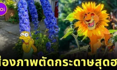 พาส่องภาพตัดกระดาษสุดฮาโดย "รูดี้ วิลลิงแฮม (Rudy Willingham)" ที่ทำให้ชีวิตประจำวันดูมีชีวิตชีวามากขึ้น