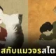 พาส่องภาพวาด "หญิงสาวกับแมวจร" ในสไตล์ศิลปะญี่ปุ่นโบราณ โดย "Poshichi"