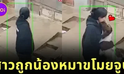 เผยคลิปน้องหมาพุ่งจูจุ๊บหญิงสาวแปลกหน้า ทำเอานุดเขินตัวเป็นเกรียวจนกลายเป็นไวรัล!
