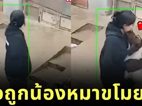 เผยคลิปน้องหมาพุ่งจูจุ๊บหญิงสาวแปลกหน้า ทำเอานุดเขินตัวเป็นเกรียวจนกลายเป็นไวรัล!