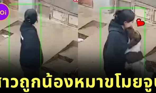 เผยคลิปน้องหมาพุ่งจูจุ๊บหญิงสาวแปลกหน้า ทำเอานุดเขินตัวเป็นเกรียวจนกลายเป็นไวรัล!