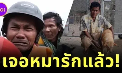 คุณลุงที่หนีน้ำท่วมร้องไห้เพราะต้องพรากจากหมารัก ล่าสุดพบเจ้าตูบหลังน้ำลดแล้ว!