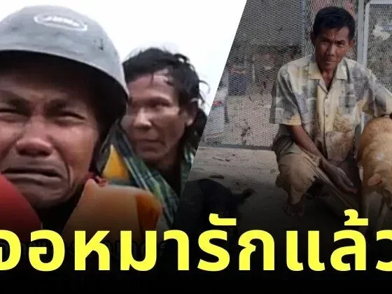 คุณลุงที่หนีน้ำท่วมร้องไห้เพราะต้องพรากจากหมารัก ล่าสุดพบเจ้าตูบหลังน้ำลดแล้ว!