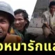 คุณลุงที่หนีน้ำท่วมร้องไห้เพราะต้องพรากจากหมารัก ล่าสุดพบเจ้าตูบหลังน้ำลดแล้ว!