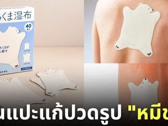 แผ่นแปะแก้ปวดลายหมีขาว