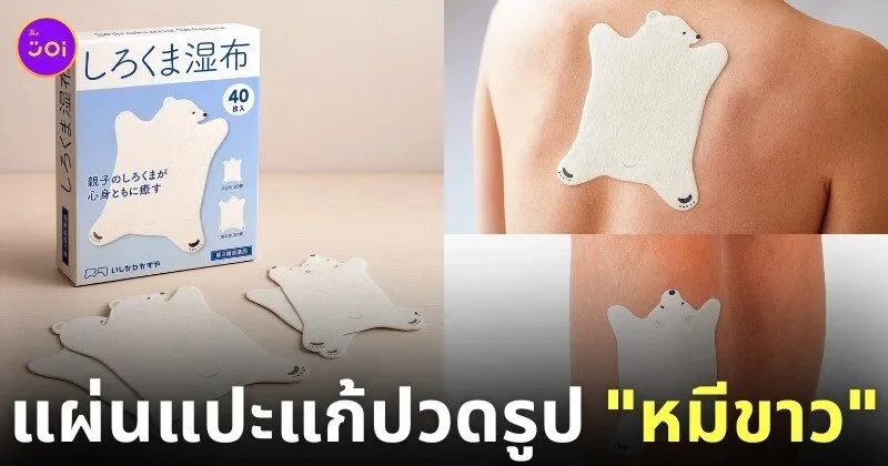 แผ่นแปะแก้ปวดลายหมีขาว